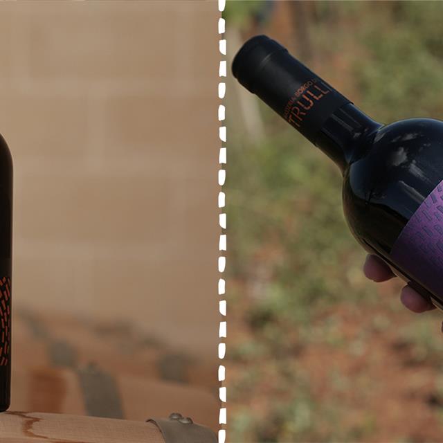 The Differences Between Primitivo and Negroamaro: A Guide for Wine Enthusiasts