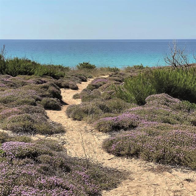 Duna Mirante Primitivo di Manduria DOP