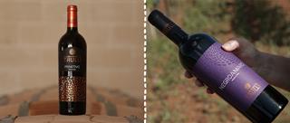 The Differences Between Primitivo and Negroamaro: A Guide for Wine Enthusiasts