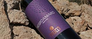 Negroamaro: The Intense Red Wine That Embodies Salento’s Soul