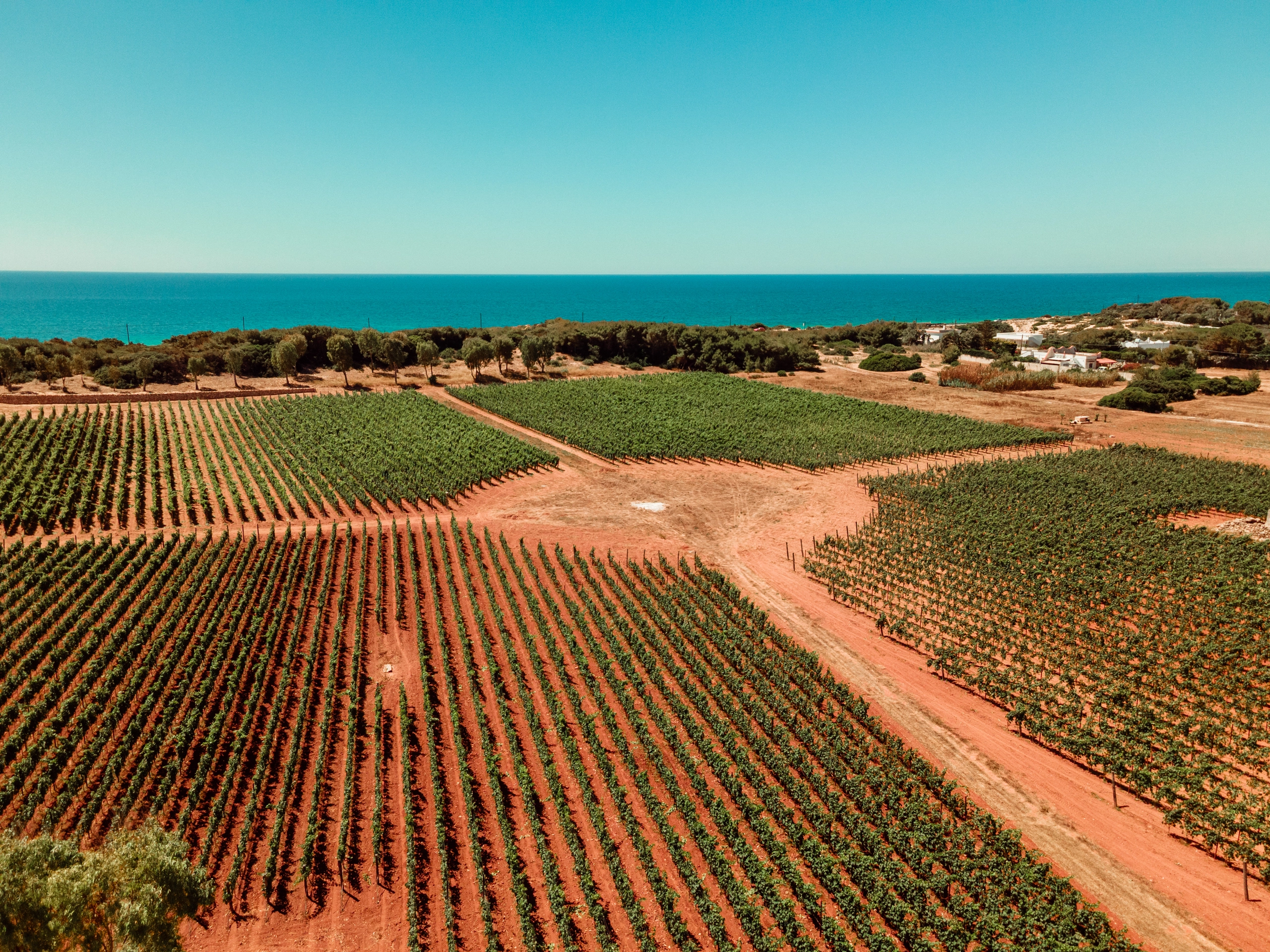 Vigneti - aerea (5)