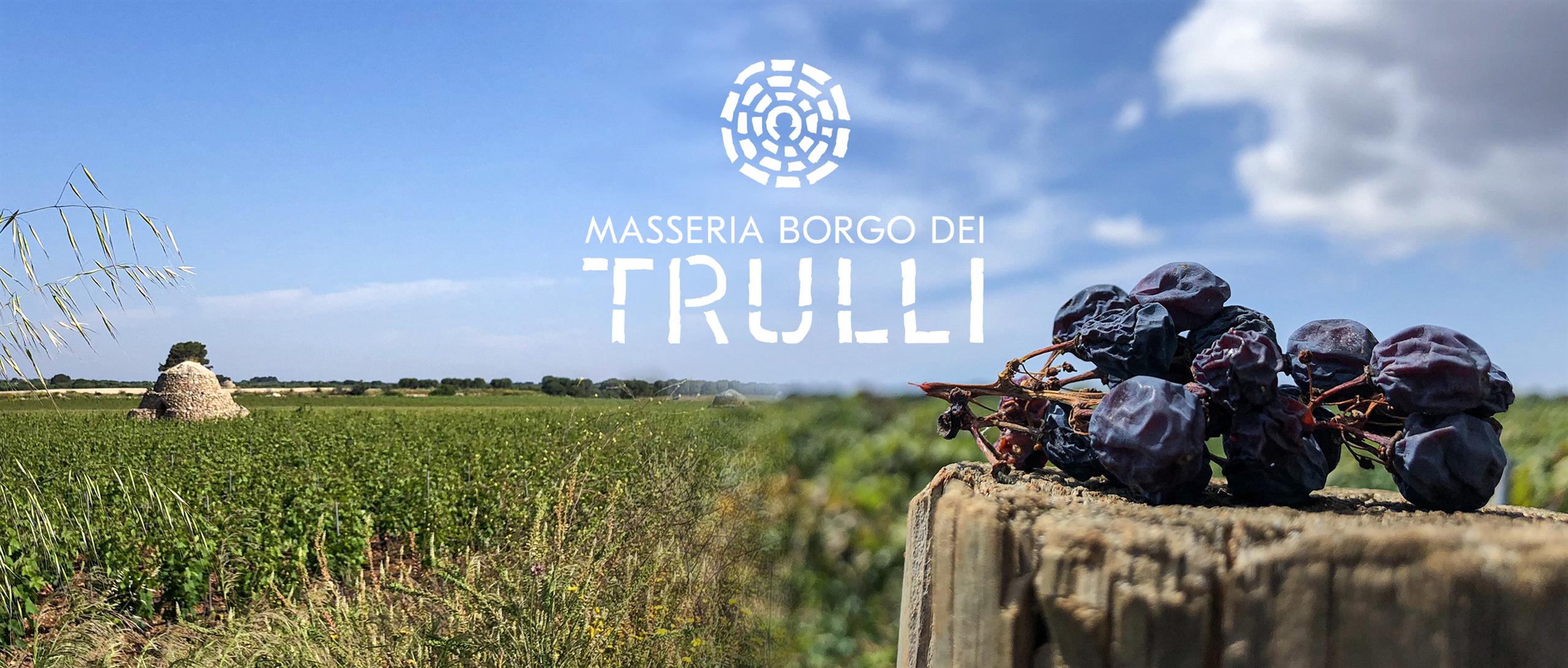 masseriabdt-articoli-29-enoturismo-in-puglia-cantine-vigneti-ed-esperienze-da-vivere_680_xxl