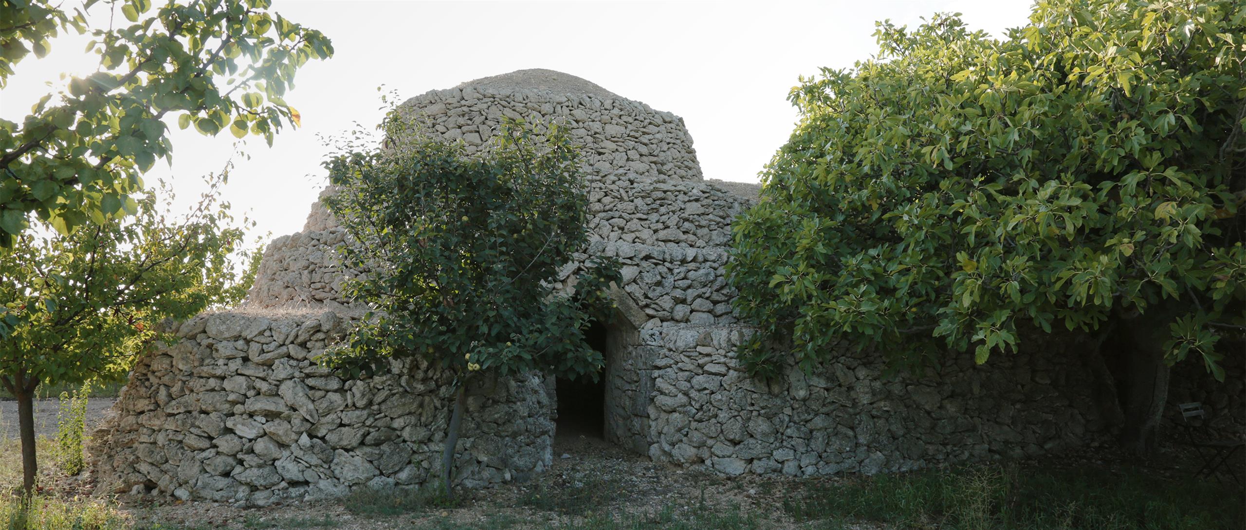masseriabdt-articoli-lastoriadelvinoinpugliadalleoriginiaigiorninostri_627_xxl